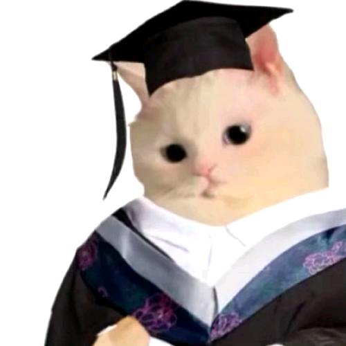 斯内特