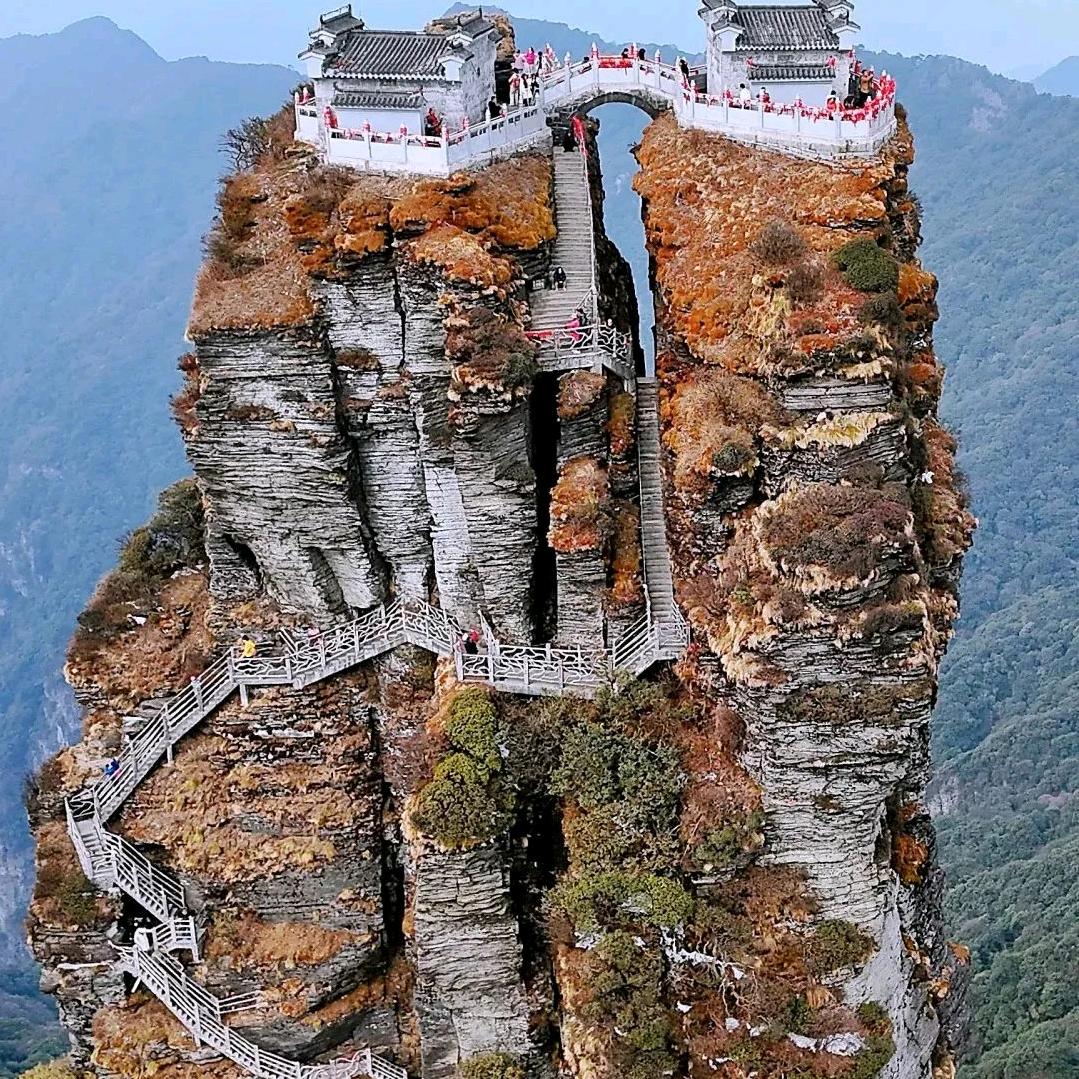 金艺公司
