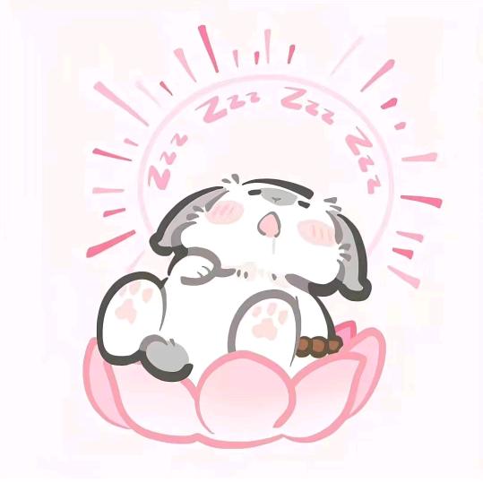 火力全开小哑巴