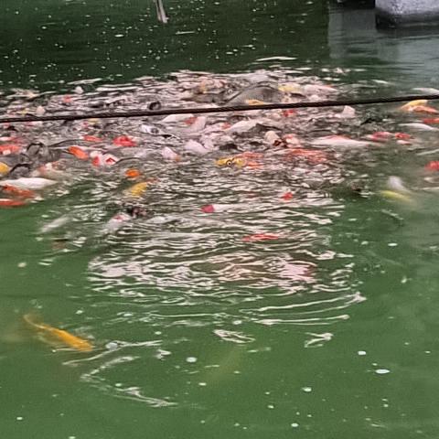健康就是福！