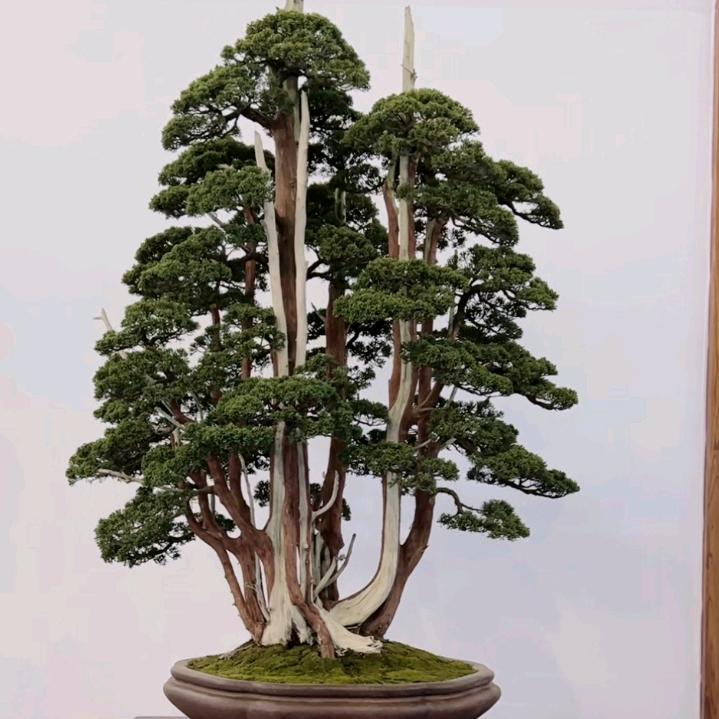 水滴石穿