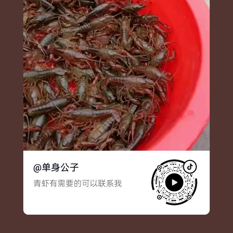 单身公子