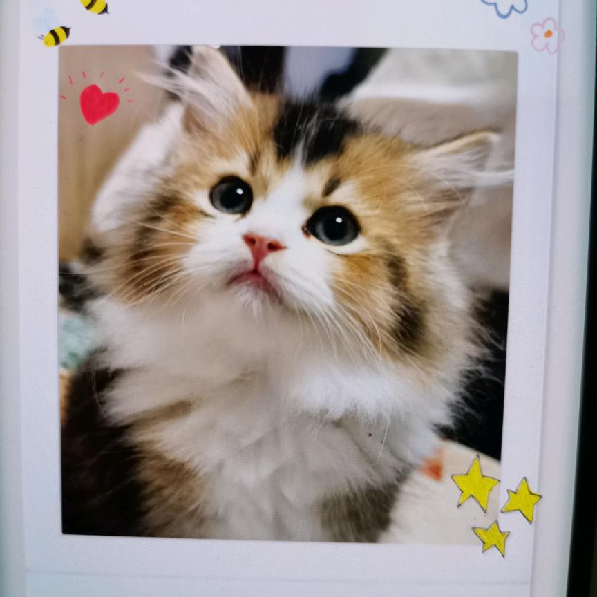 木木的成长日记