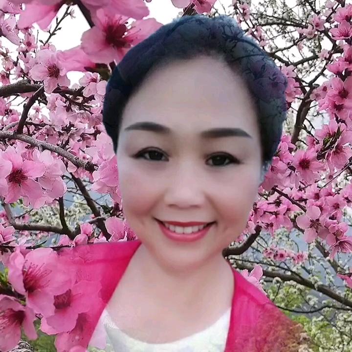绣缘梦
