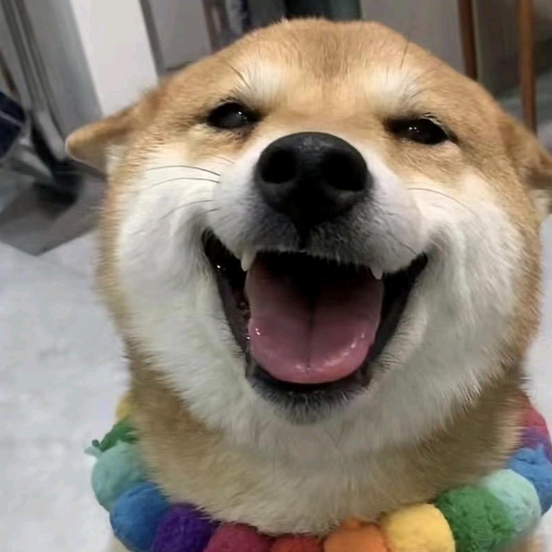 程程