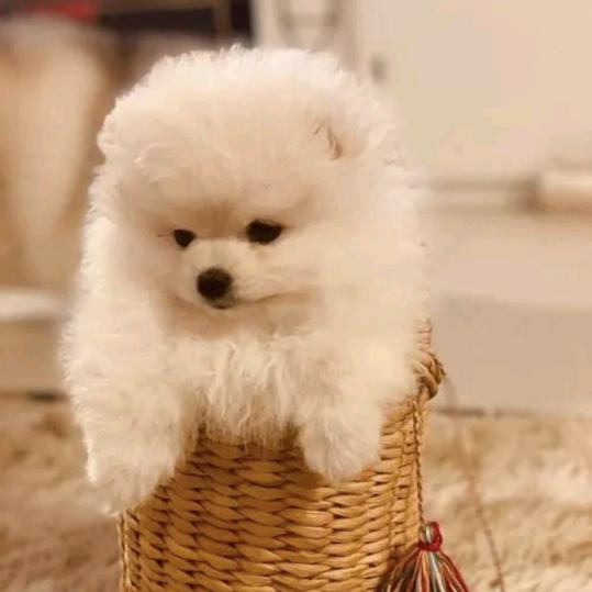 得到未必是福，失去未必是祸