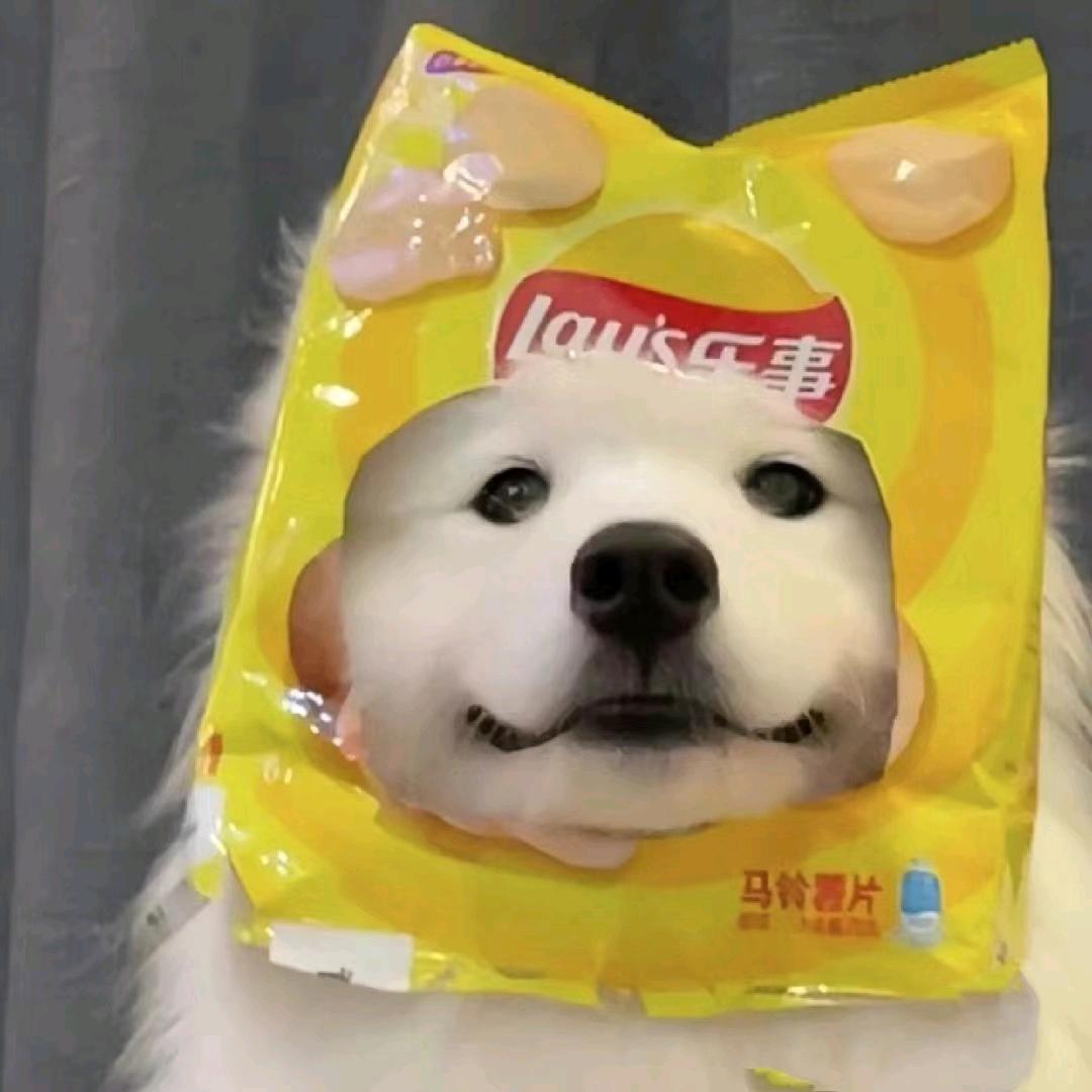 比奇堡悍匪派大星