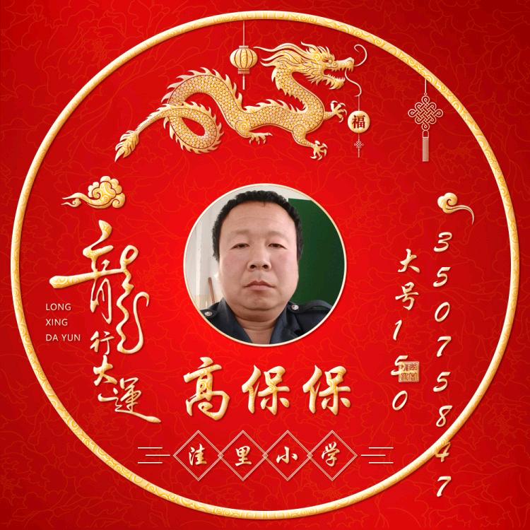 高保保