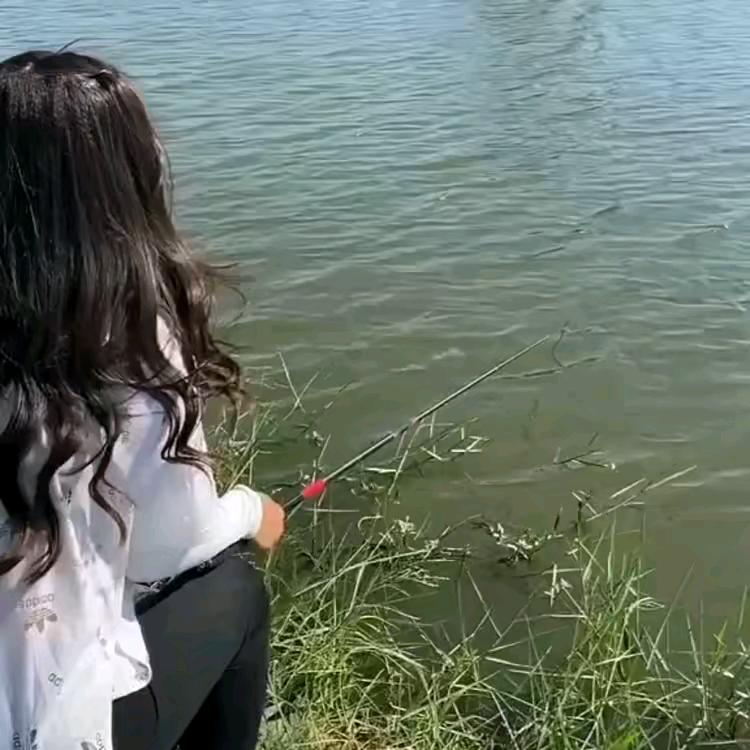 人鱼线选手-蛮女子