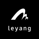leyang童车