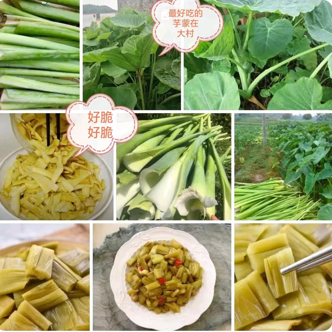 阿群小吃货直播间