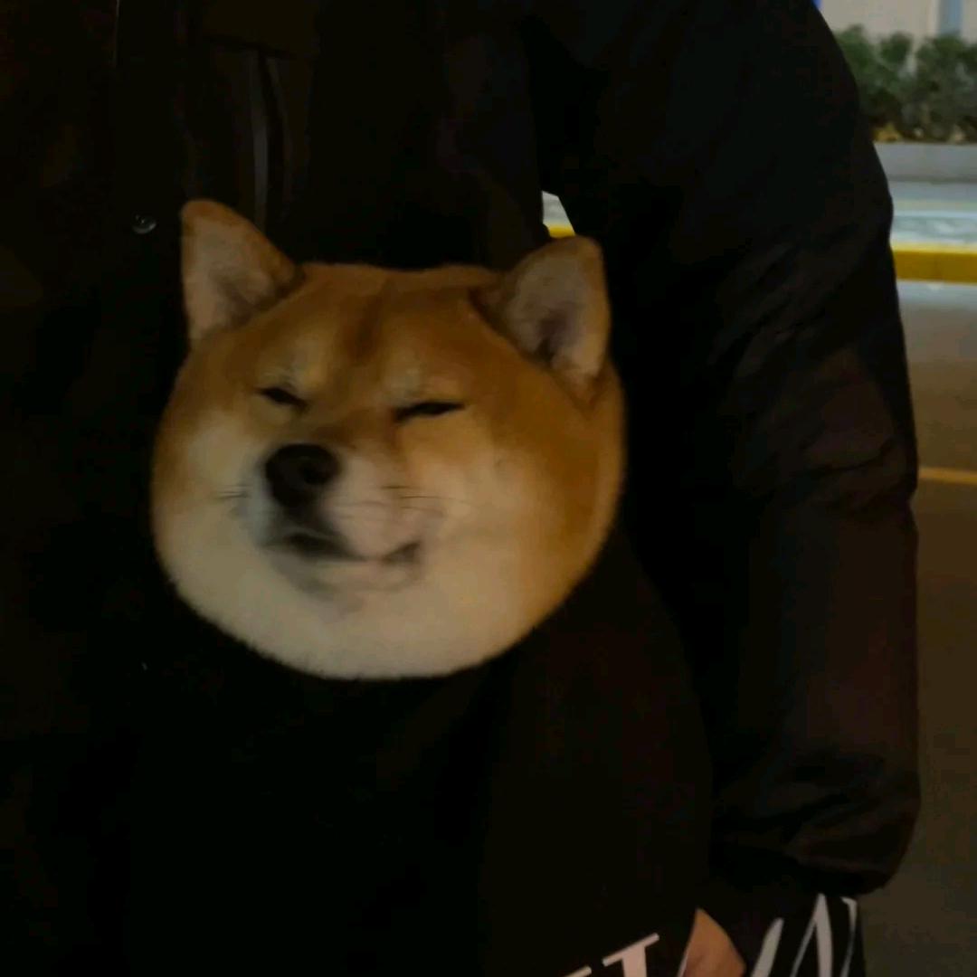 气势,,