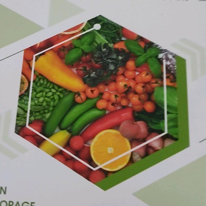 果蔬气调库保鲜范儿