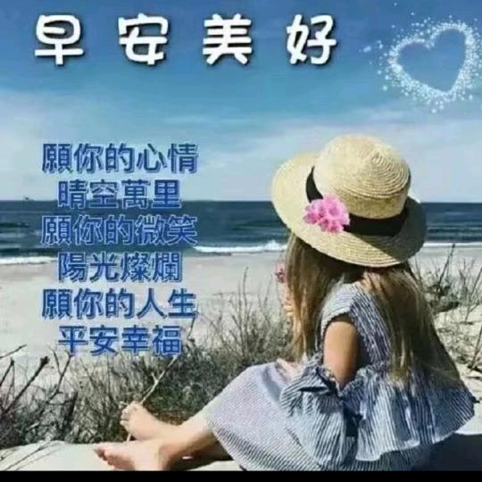 乡村老赵