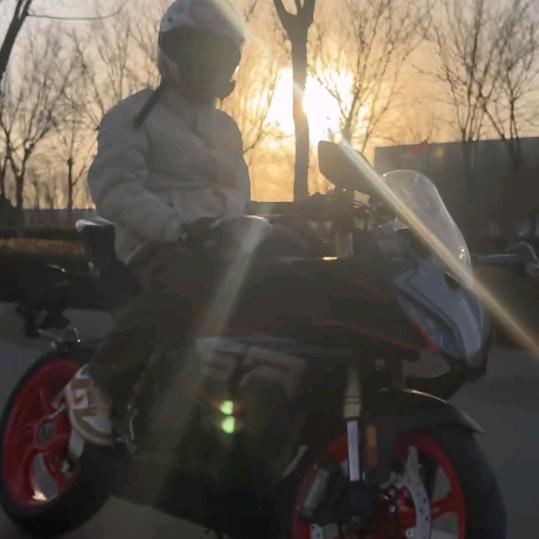 欢天喜地猪八戒