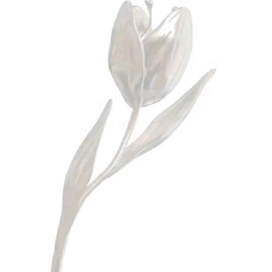 A Tulip