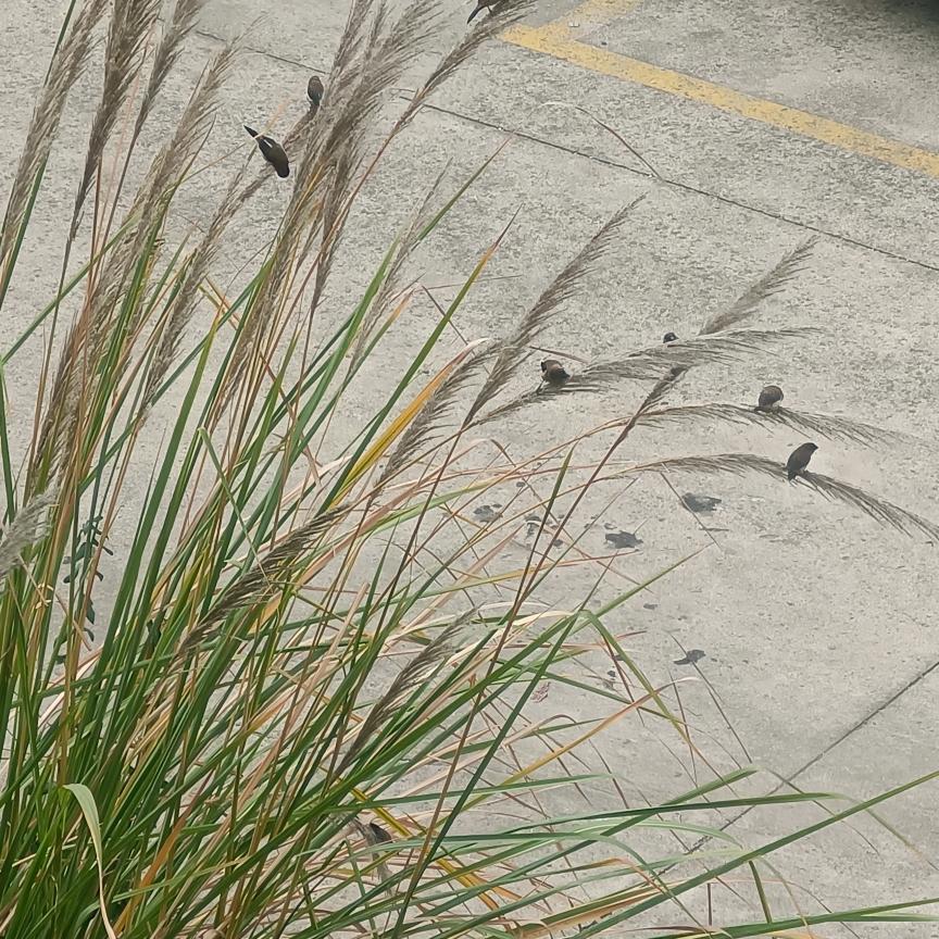 往事清零，爱恨随意