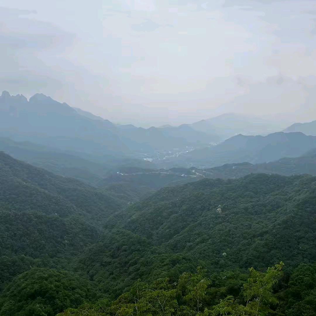 贴砖牛哥
