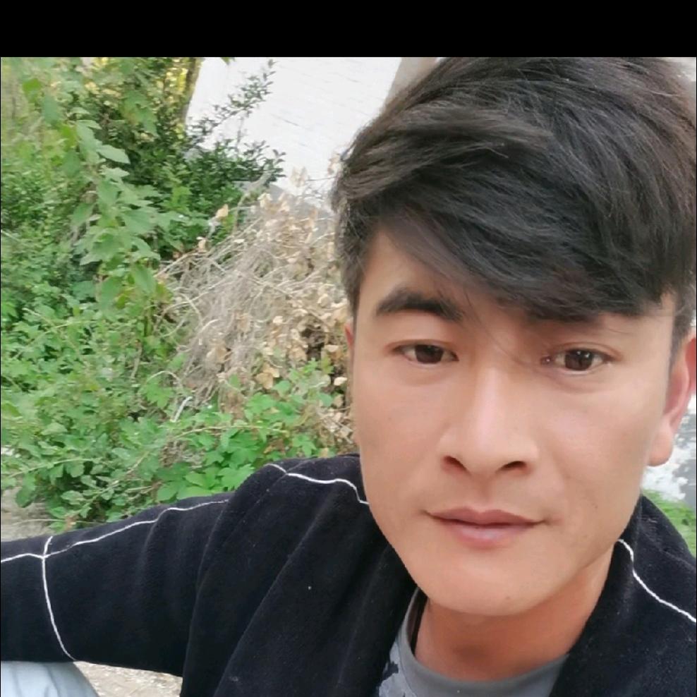 豫东小哥
