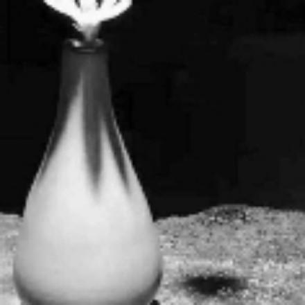 嘎嘎嘎1