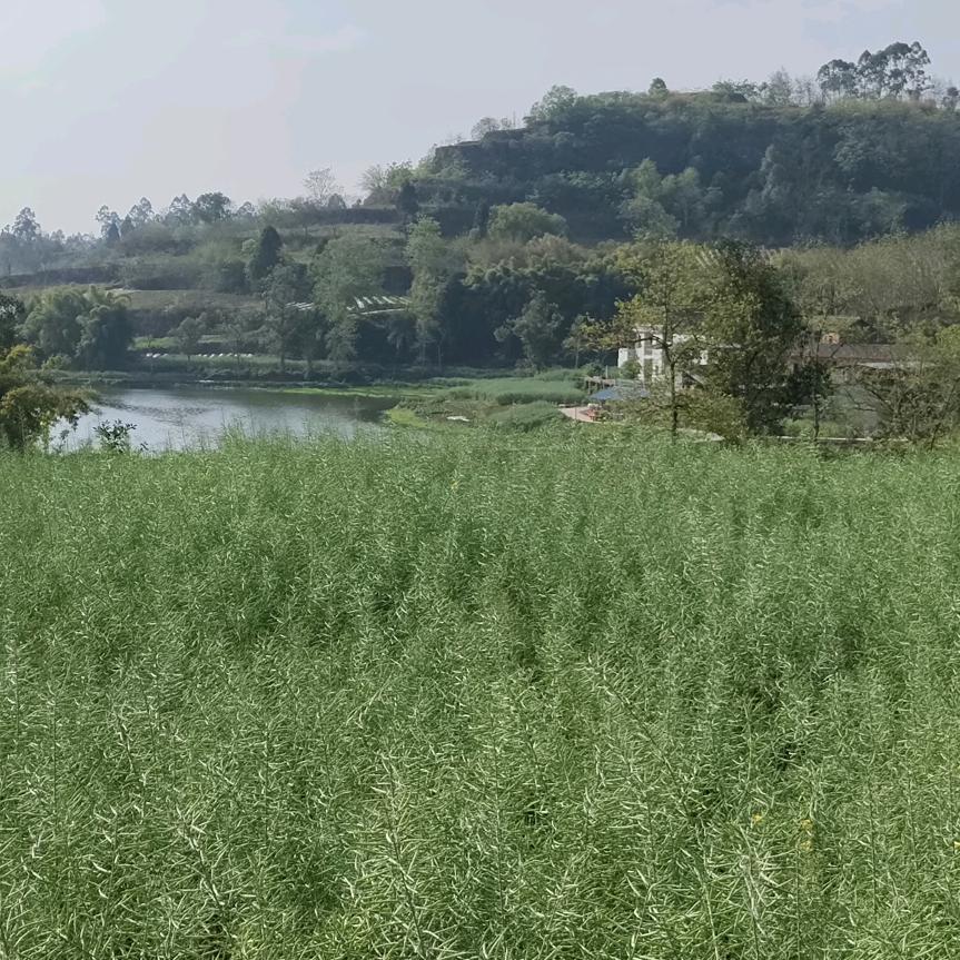 zhangdehuoji92