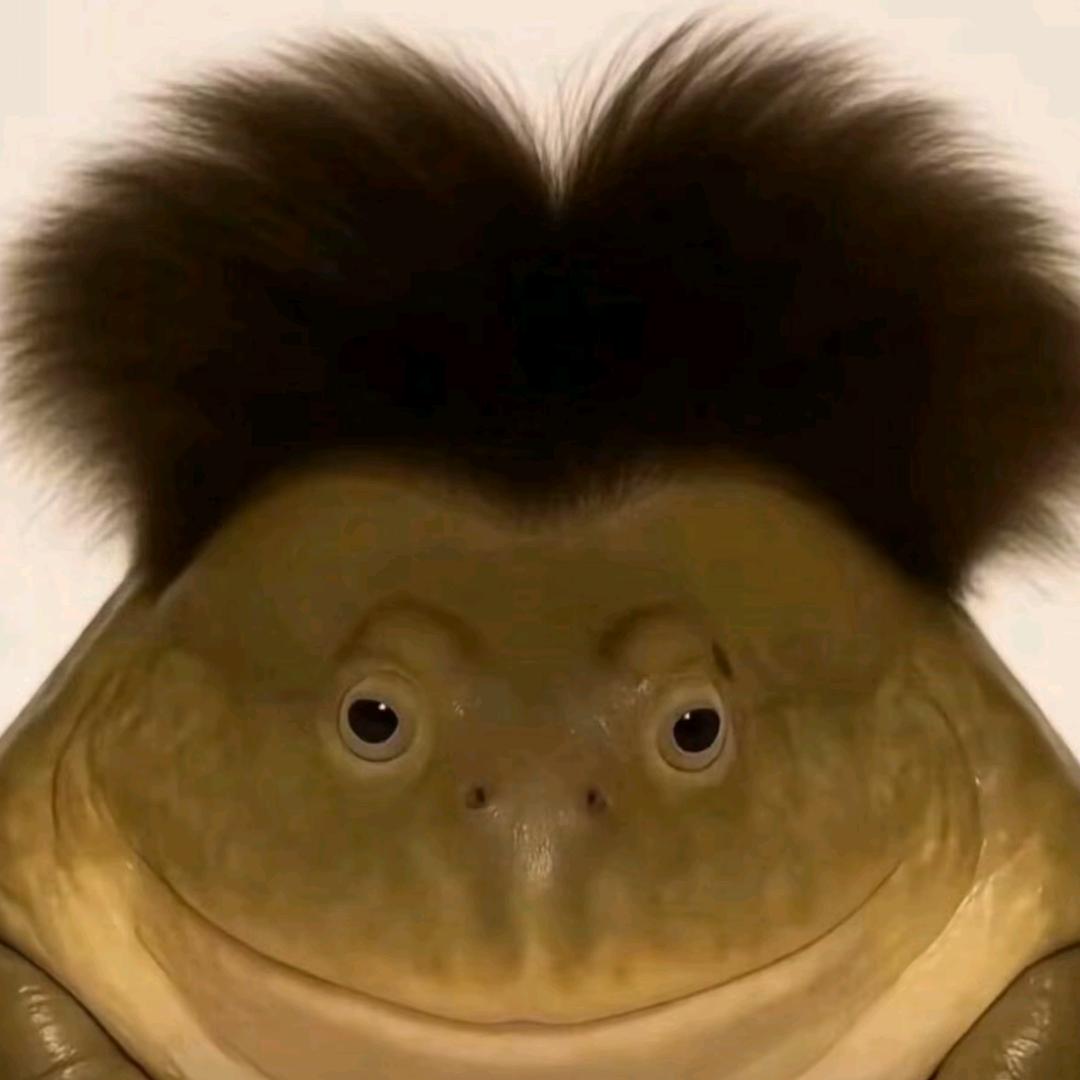 幽默蛤蟆王