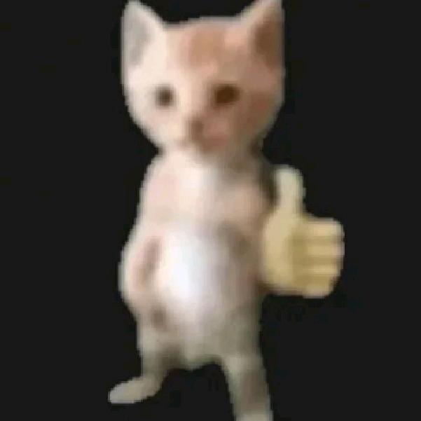 okok