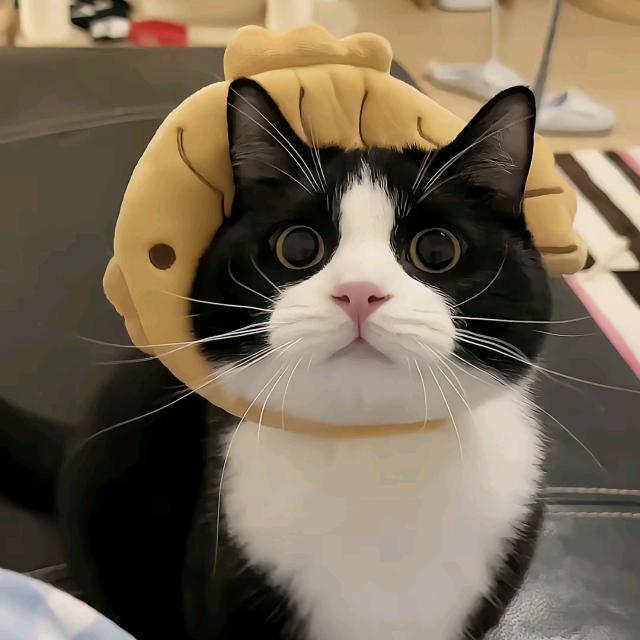 非纯情主义头像