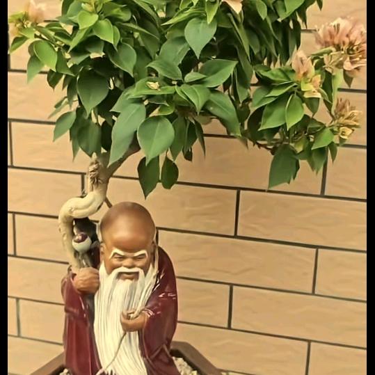 满天星辰,