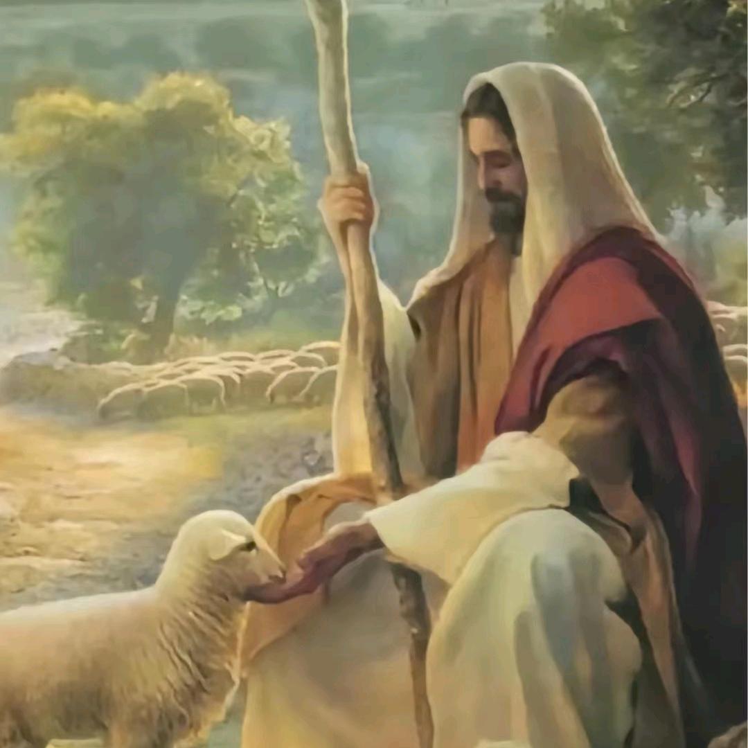 ᭄ꦿ感恩遇见᭄