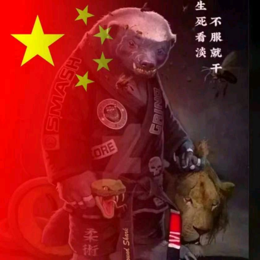 红振