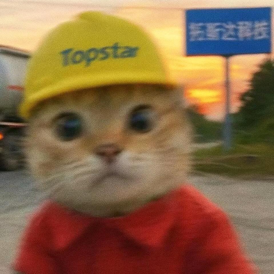 太阳升起的地方🇨🇳