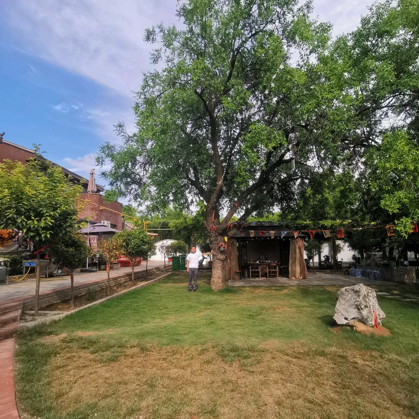 长和路灯厂-曹中癸