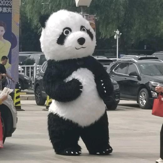 歪歪哥  单身