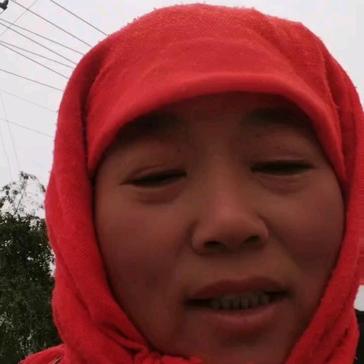 西青周到果蔬种植农场