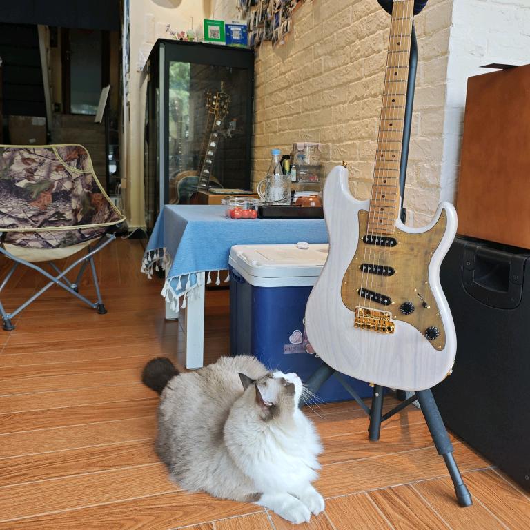 榴花🎸