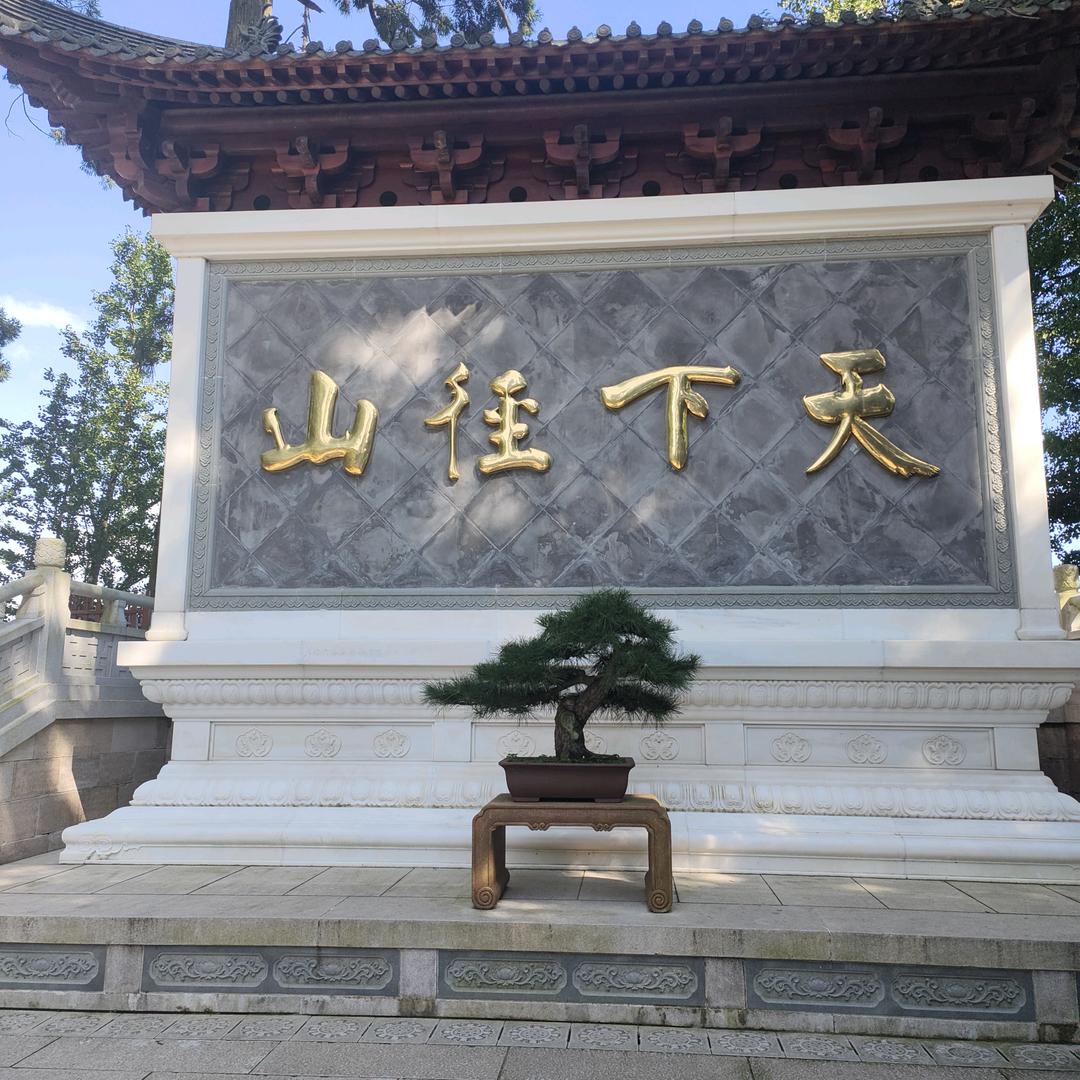 一起吃饭
