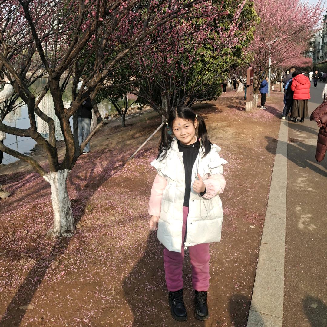 铁甲依然在