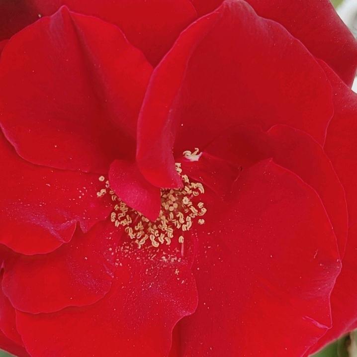 🌧️(雨中漫步)⛱️