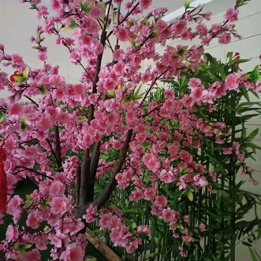 感恩有你