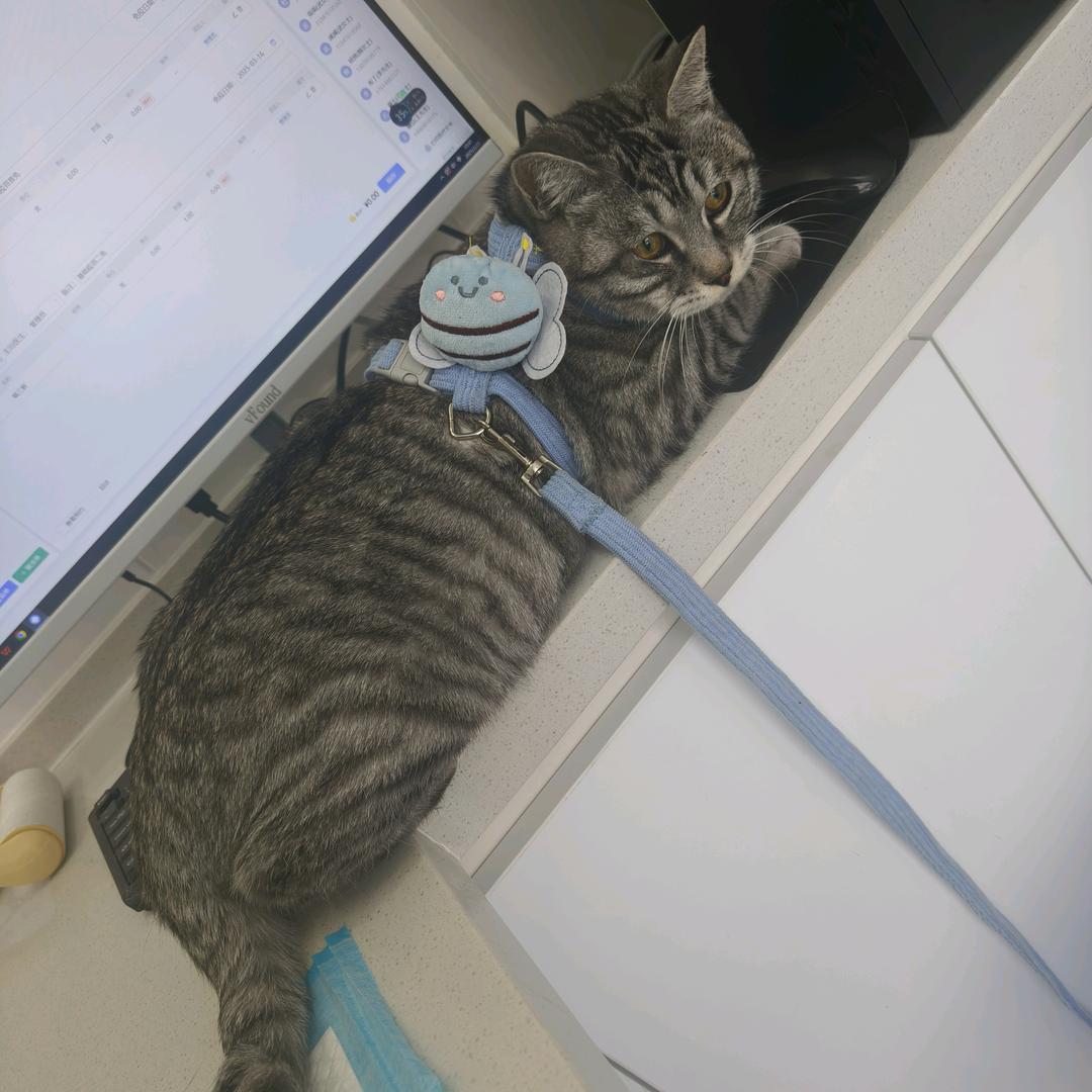 一个人失忆
