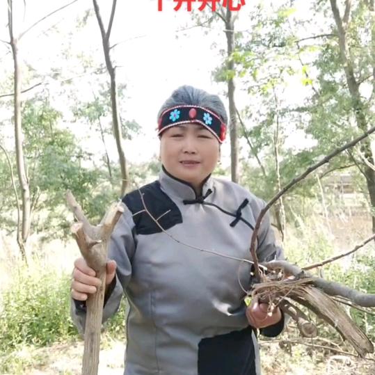 蔡姐(开直播不论点)