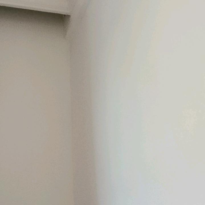 他