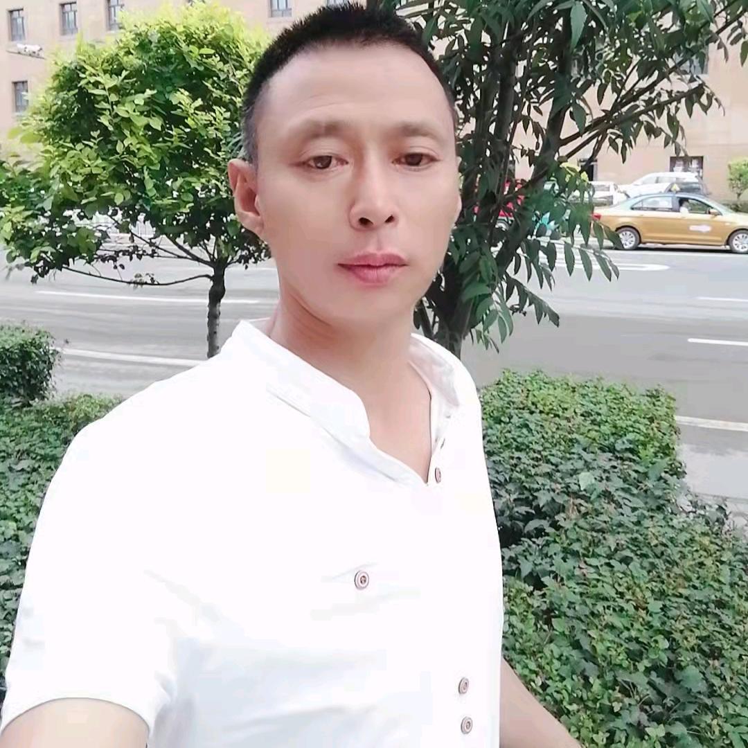 情感语录鹏哥