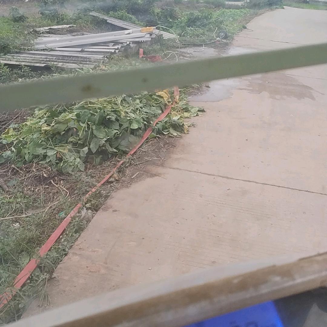 迟来的爱好好珍惜