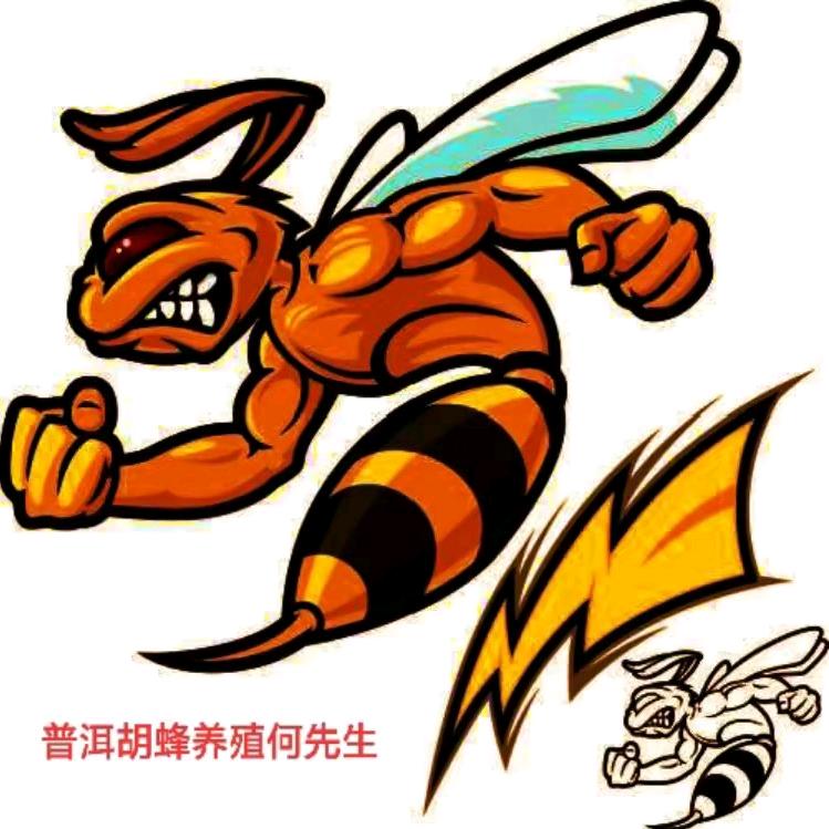 何舍何家小院