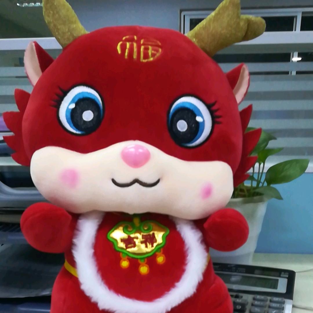 老师的弃徒---学不会的小白