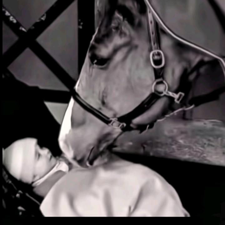 叶老🏇