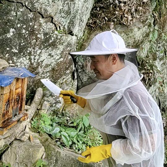 阿标土蜂蜜