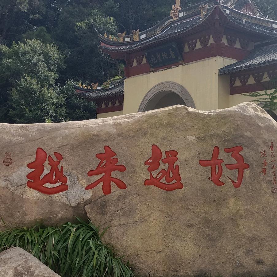 878574464悟和觀自在